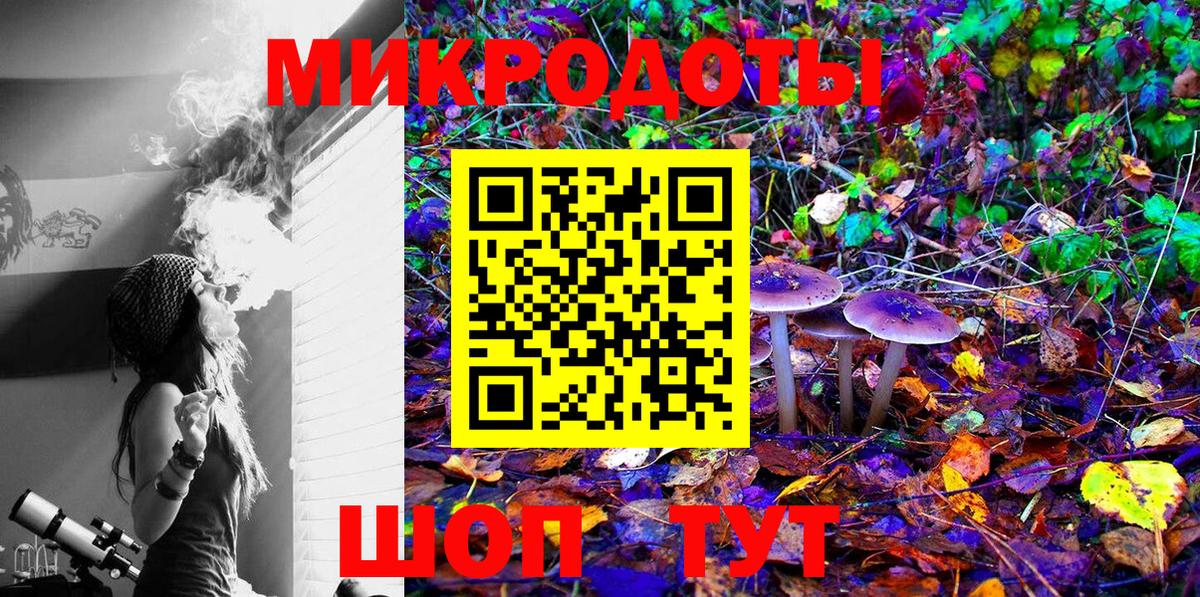 Псилоцибиновые грибы MAGIC MUSHROOMS Добрянка